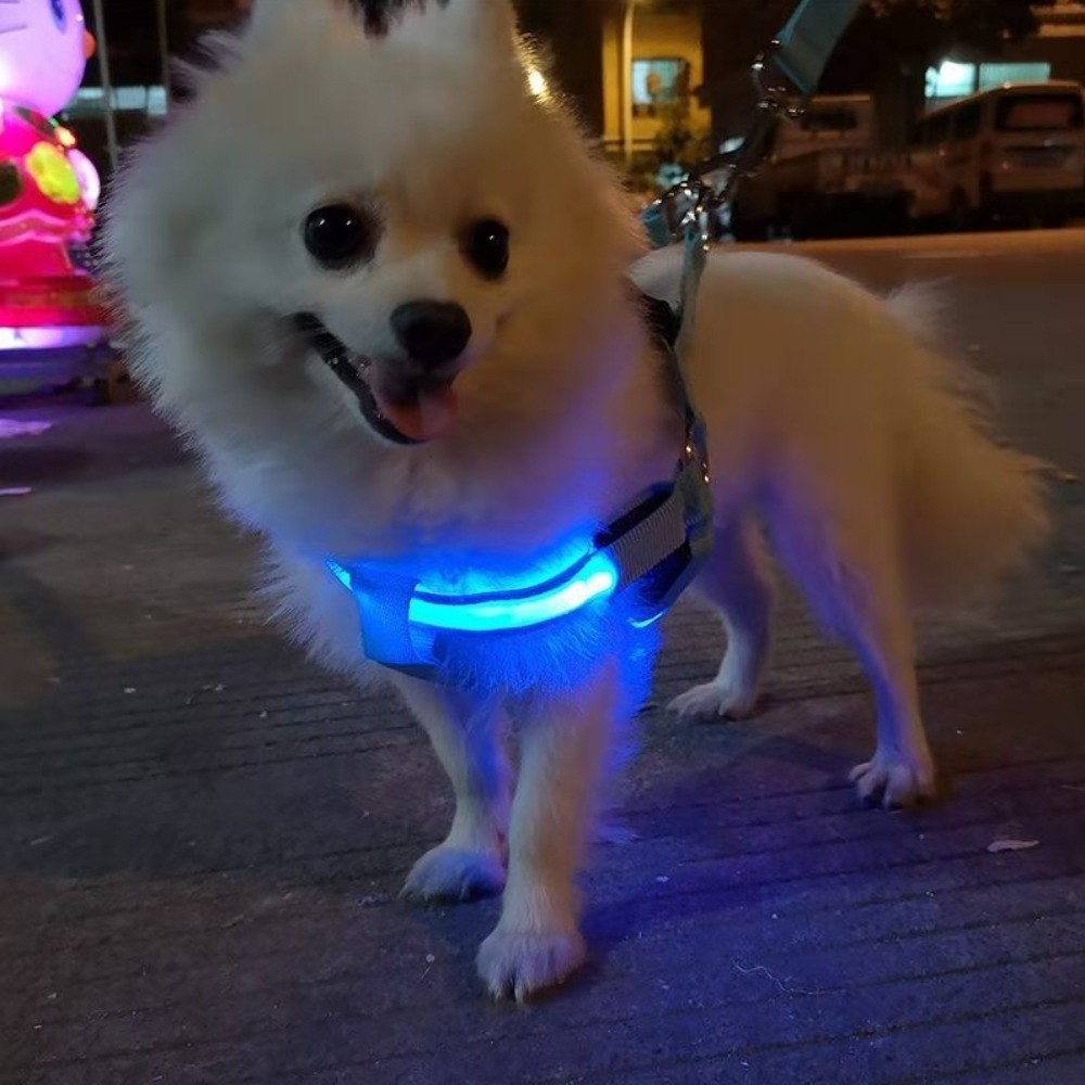 Tech Dog Accessories - Дышащая светящаяся LED-шлейка для собак с