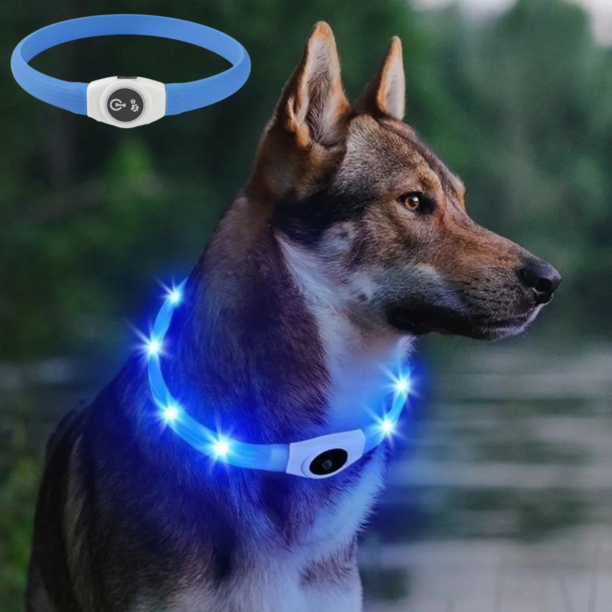 Tech Dog Accessories - Новый светодиодный светящийся ошейник для собак