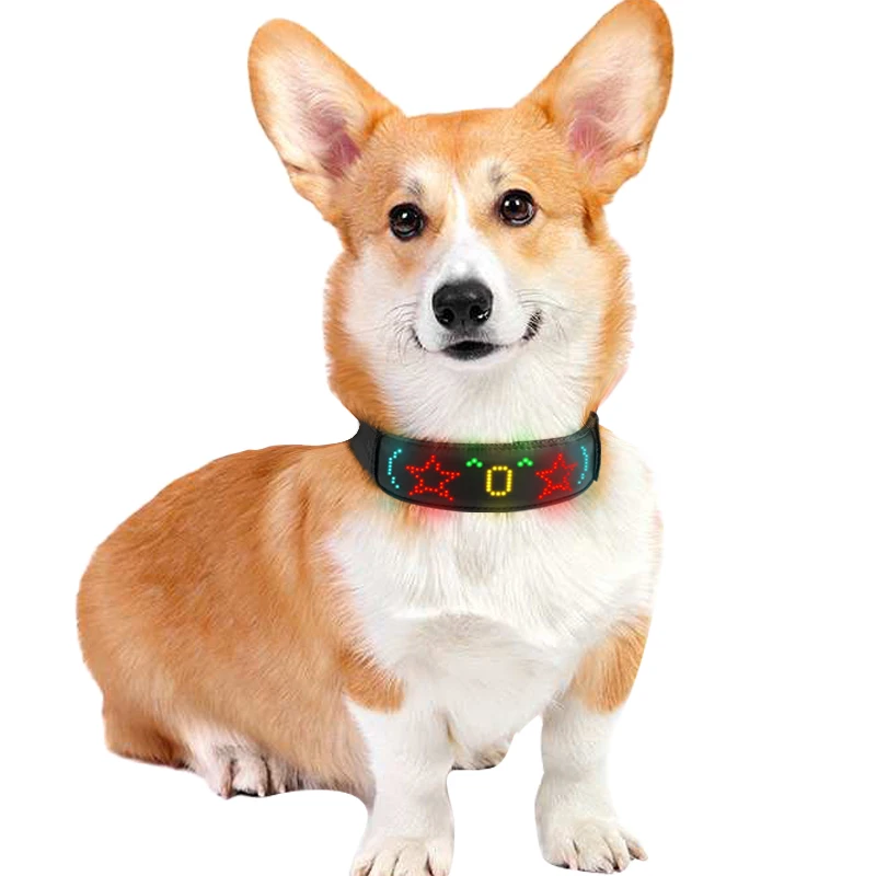 Многоцветные светодиодные ошей – обзор и цена Tech Dog Accessories