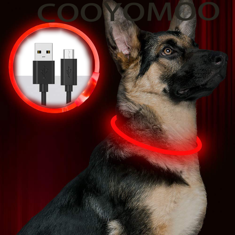 Силиконовый светодиодный ошейн – обзор и цена Tech Dog Accessories