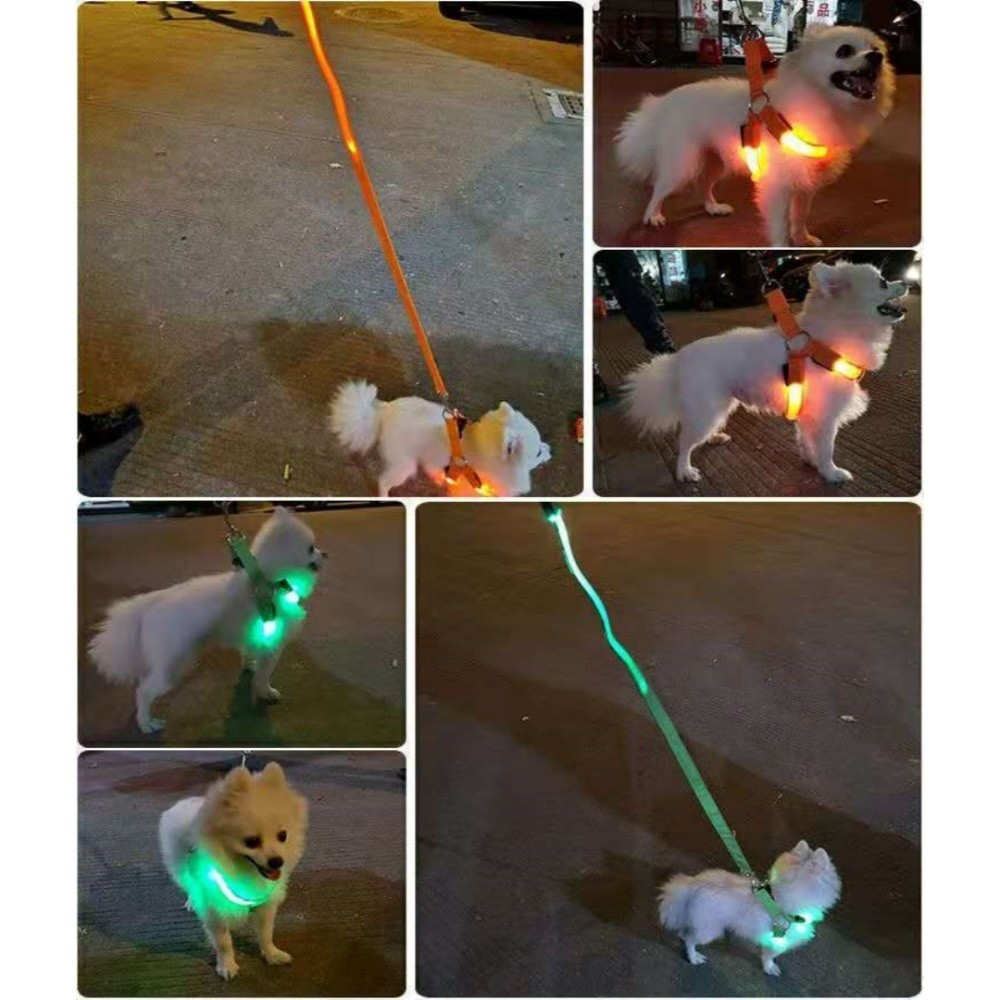 Дышащая светящаяся LED-шлейка  – обзор и цена Tech Dog Accessories
