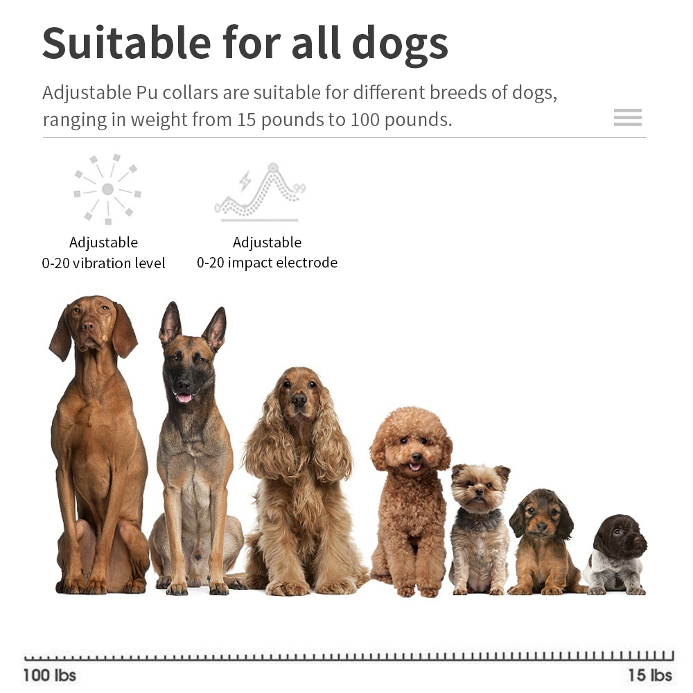 Электронный ошейник против лая – обзор и цена Tech Dog Accessories